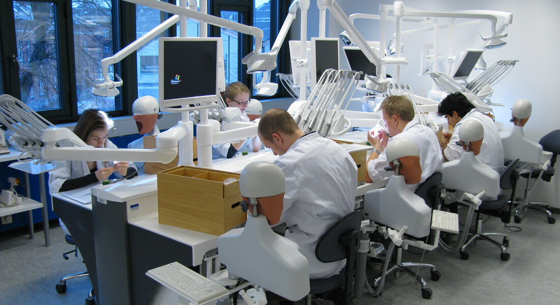 Dentistry students working