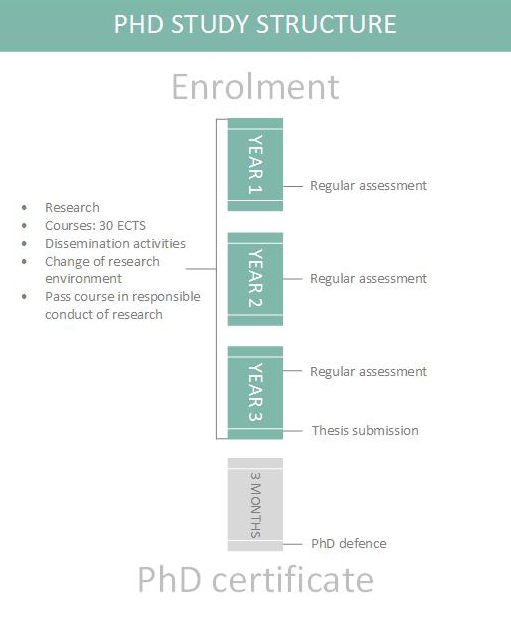 Graphic showing the study structure of the PhD programme at SUND