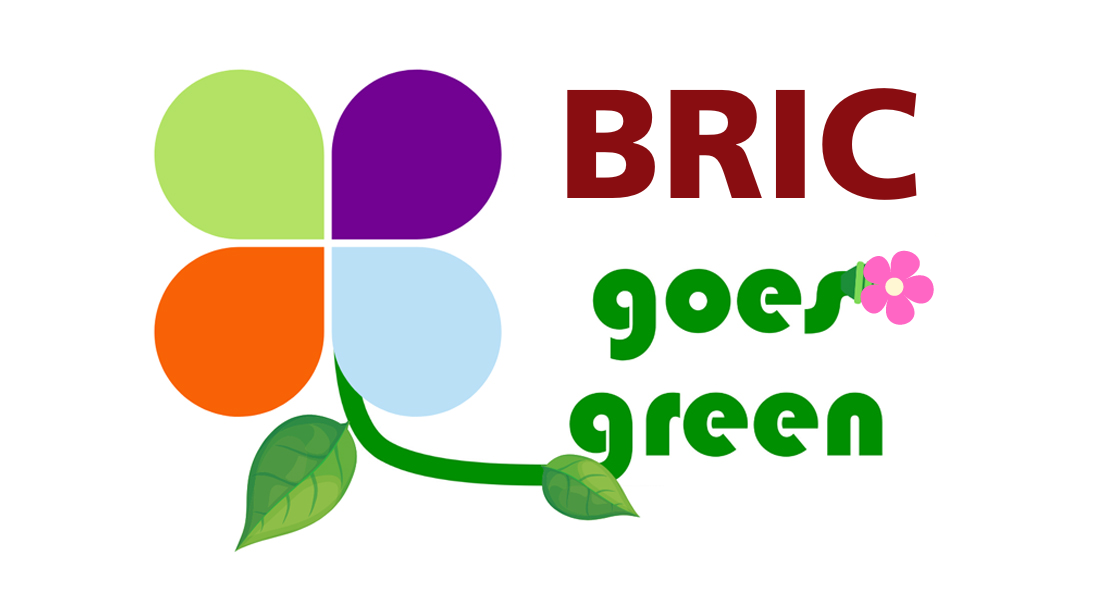 Link to BRIC goes green