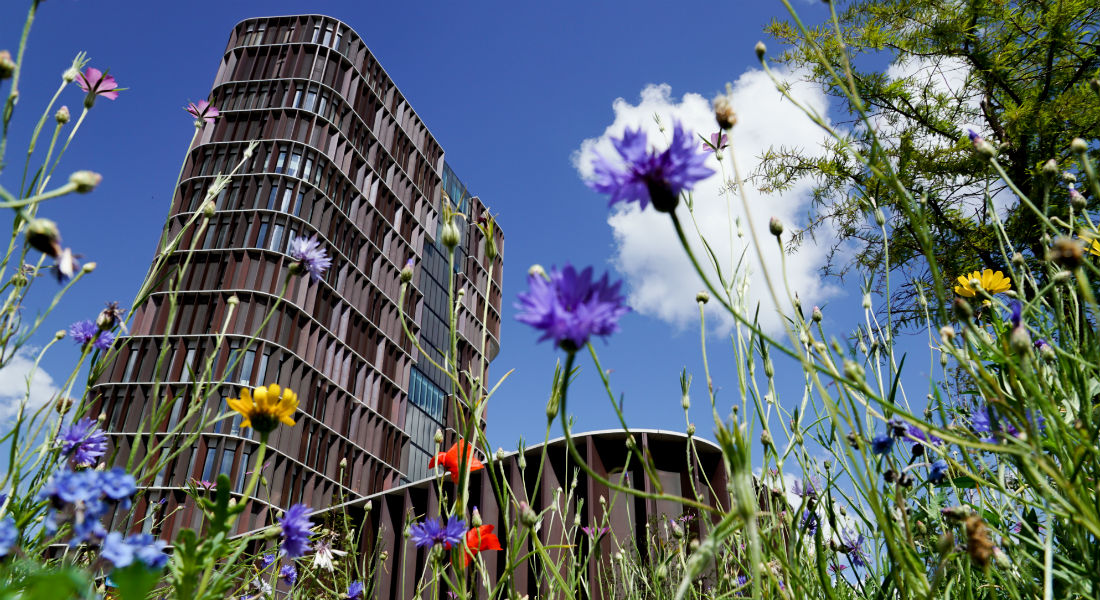 Mearsk Tower spring