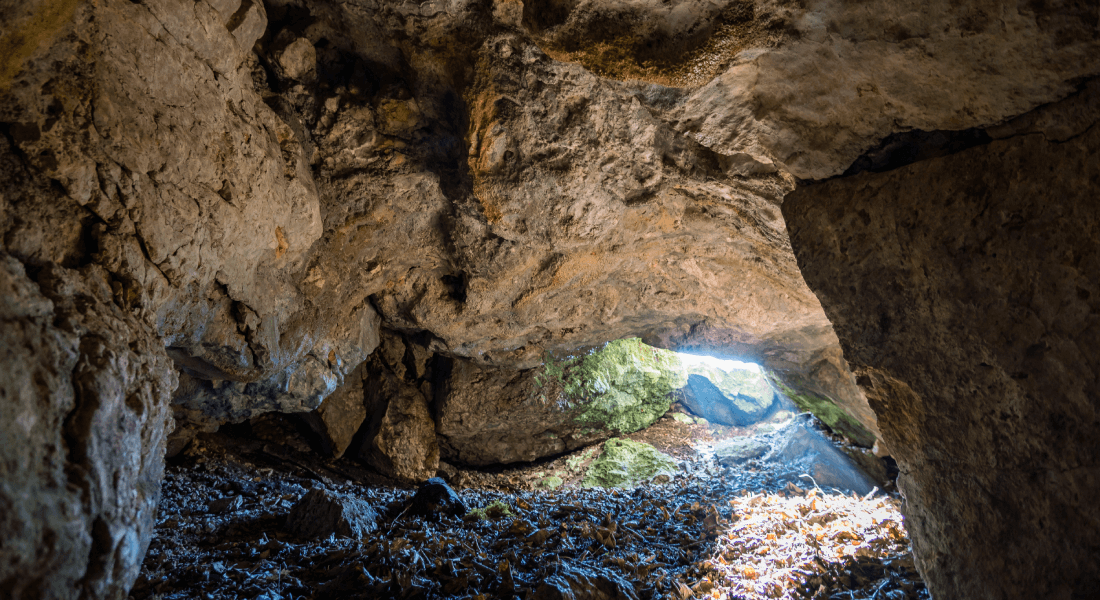 Cave neanderthal