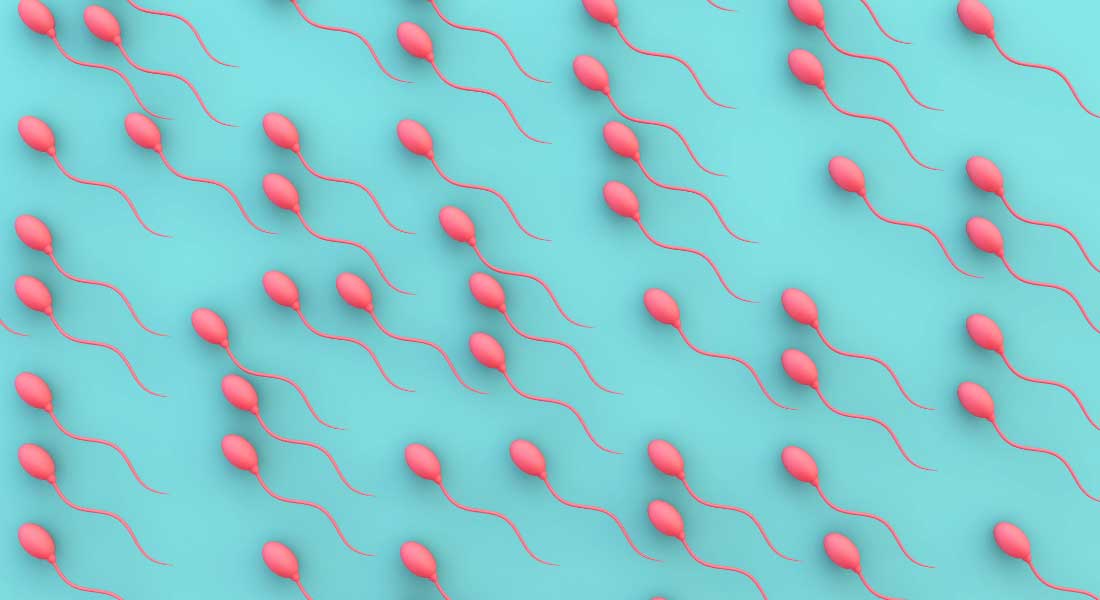 Visual illustration of sperm cells.