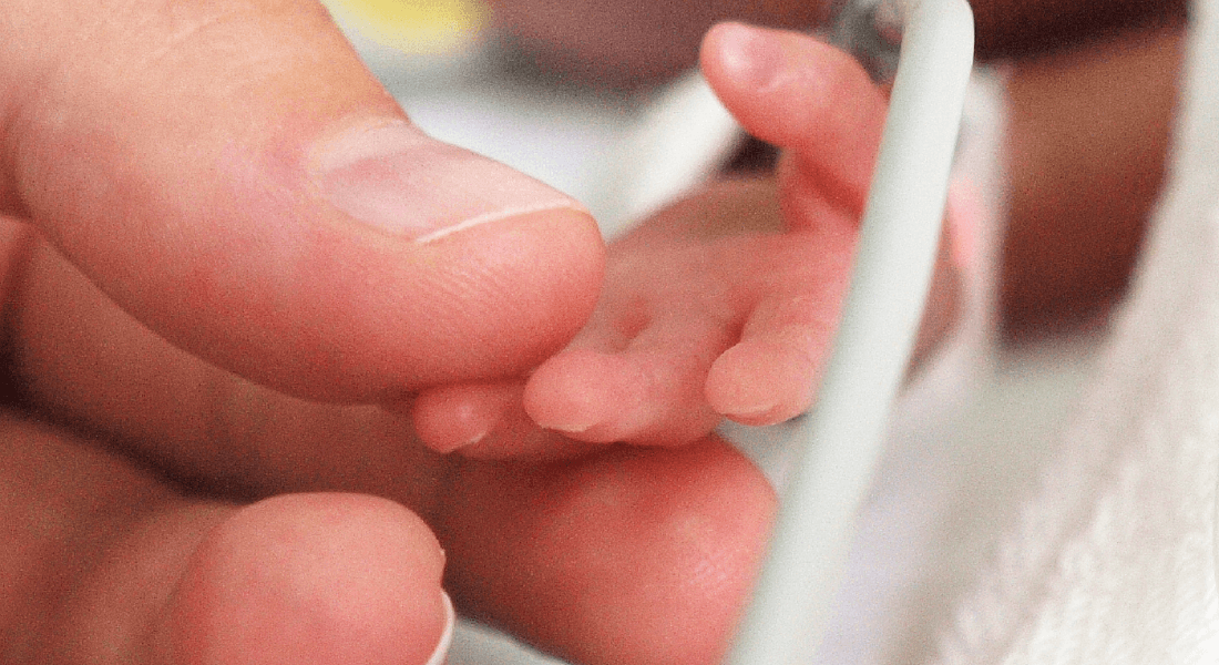 Breast milk is good for brain development of premature babies, researchers  say