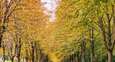 Link between seasons and eating habits