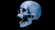 Discoveries gleaned from human ancient DNA